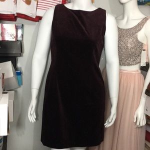 Gap Women’s Velvet Purple Dress NWT Size 16